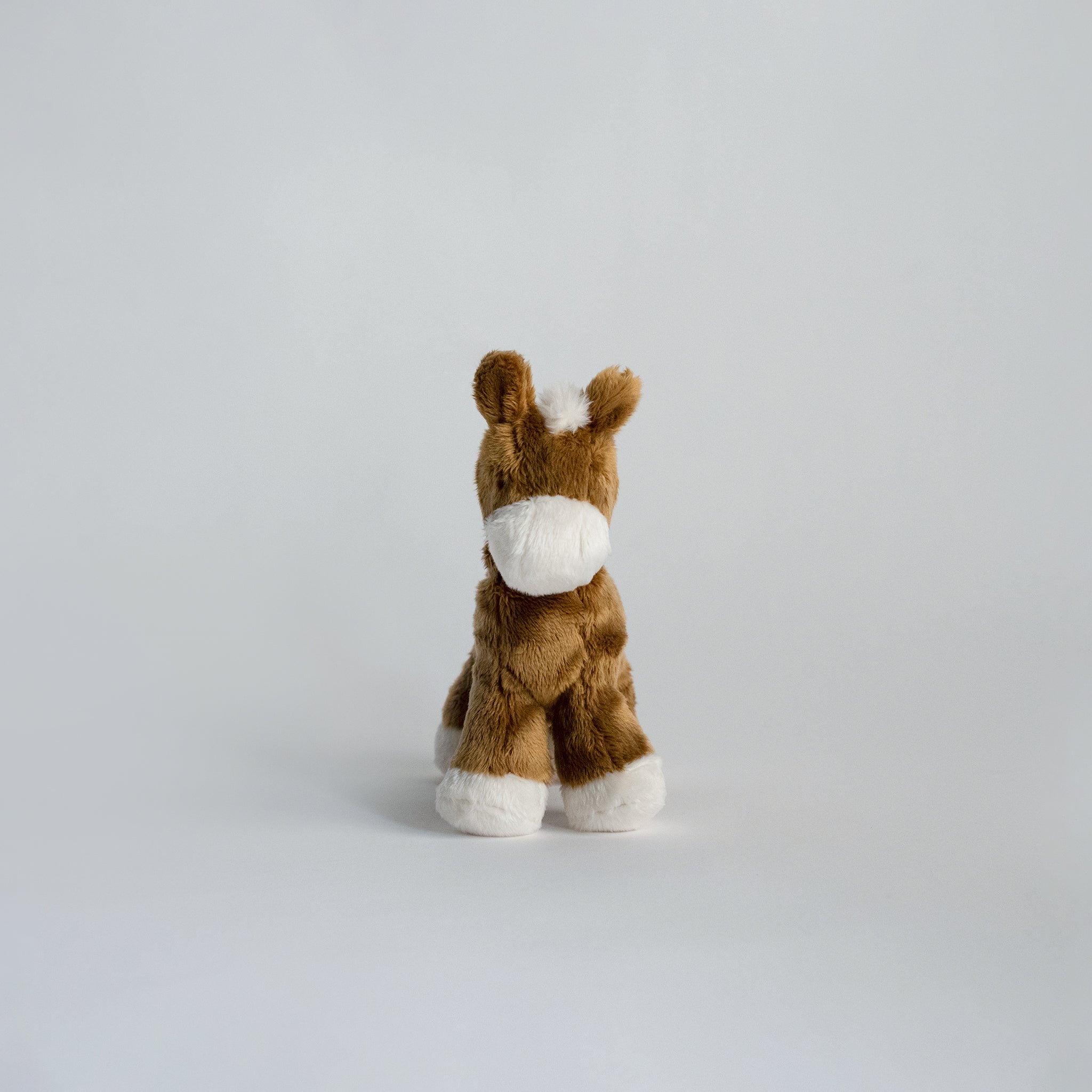 Buddy Pony