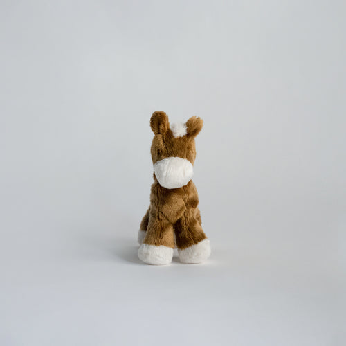 Buddy Pony