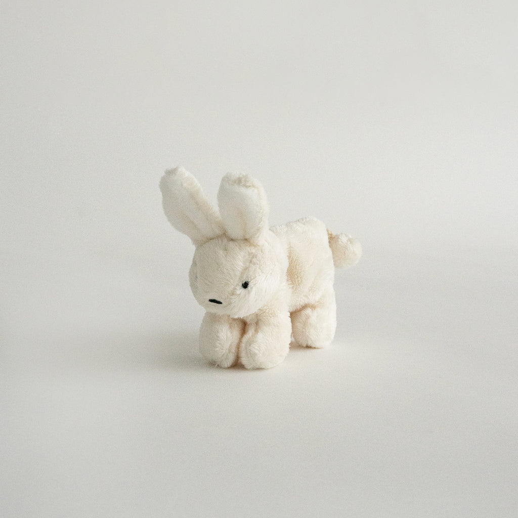 Buddy Bunny