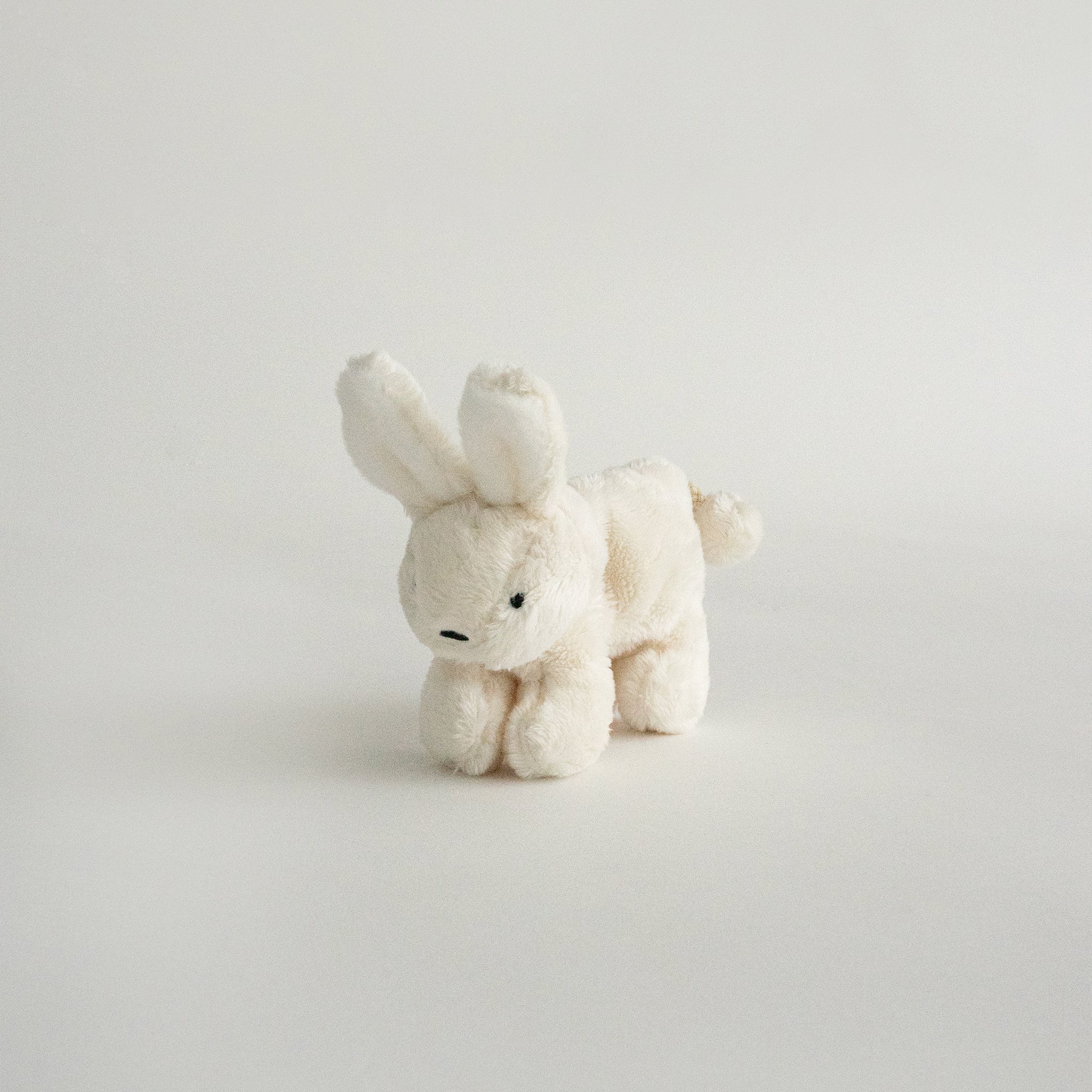 Buddy Bunny