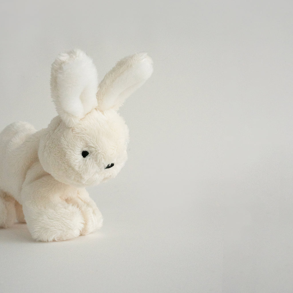 Buddy Bunny