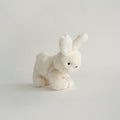 Buddy Bunny