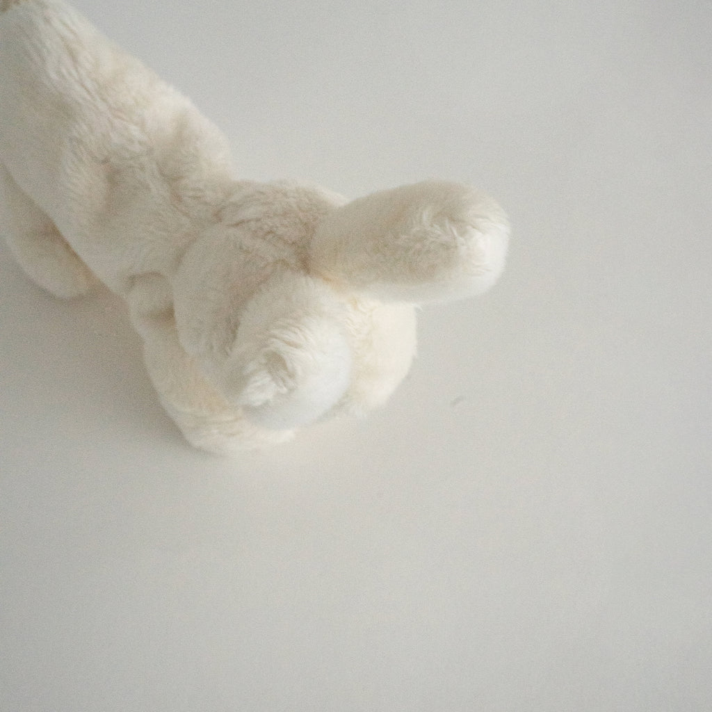 Buddy Bunny