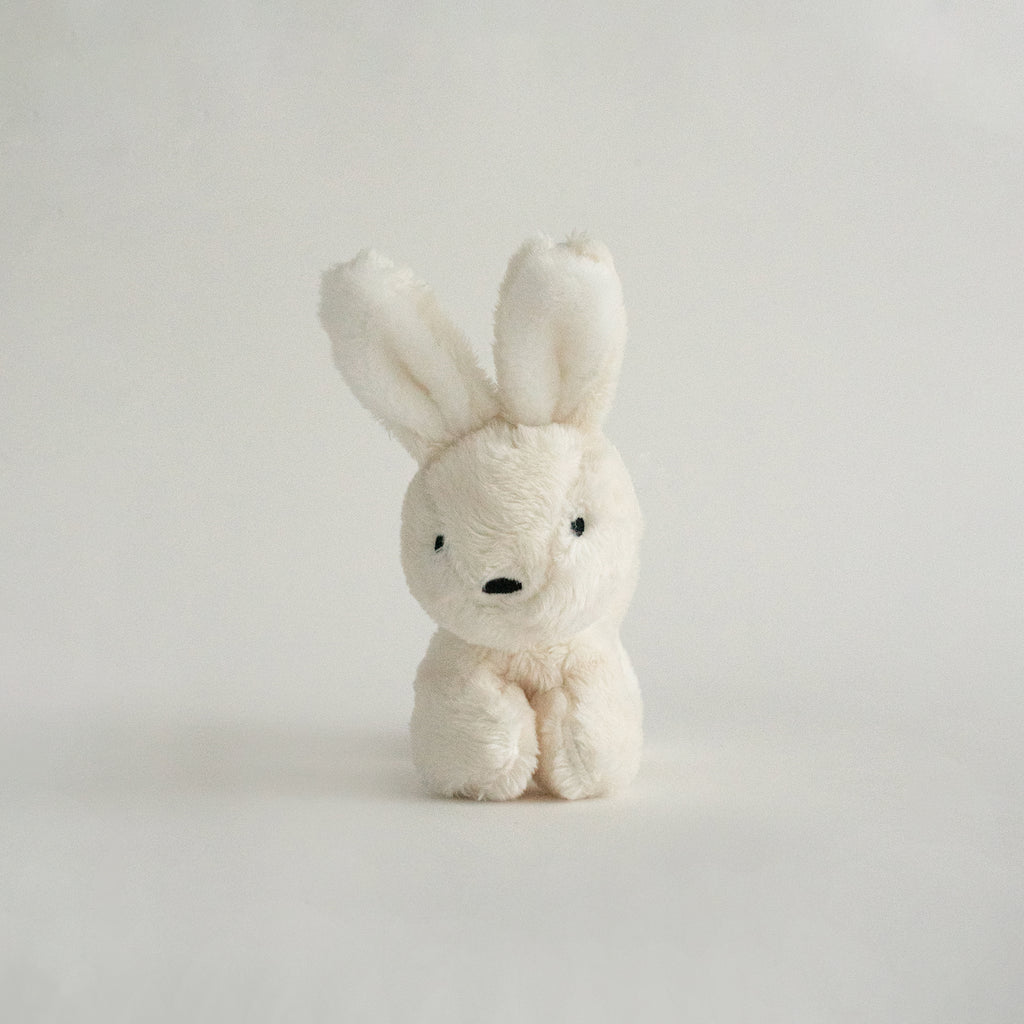 Buddy Bunny