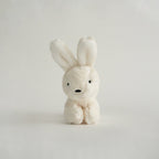 Buddy Bunny