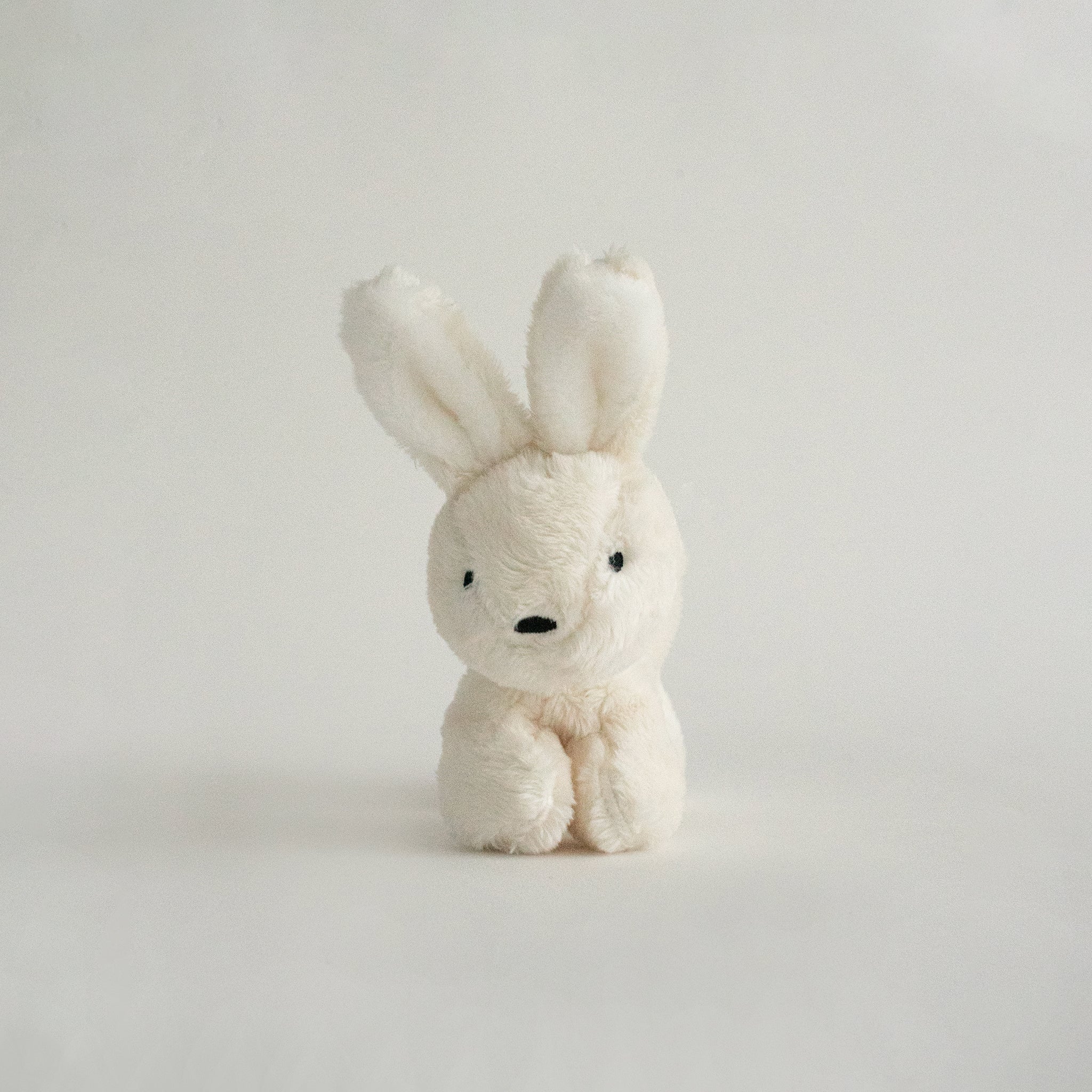 Buddy Bunny