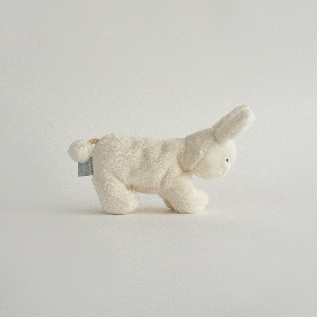 Buddy Bunny