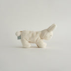 Buddy Bunny