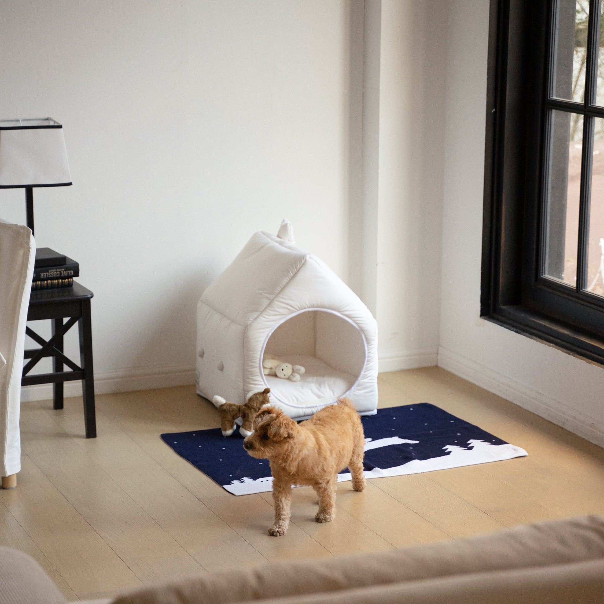 Informal House (White)