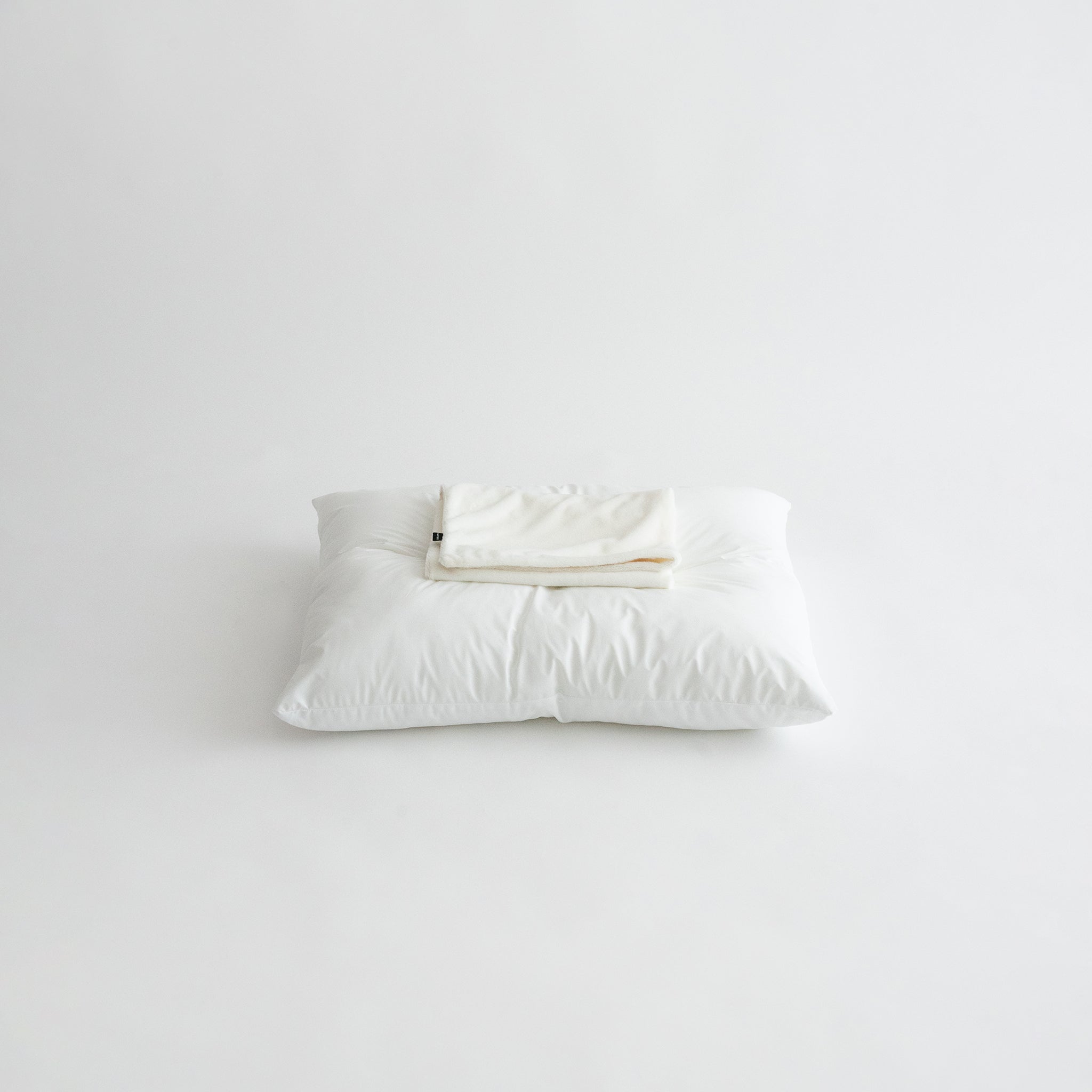 Informal House (White)