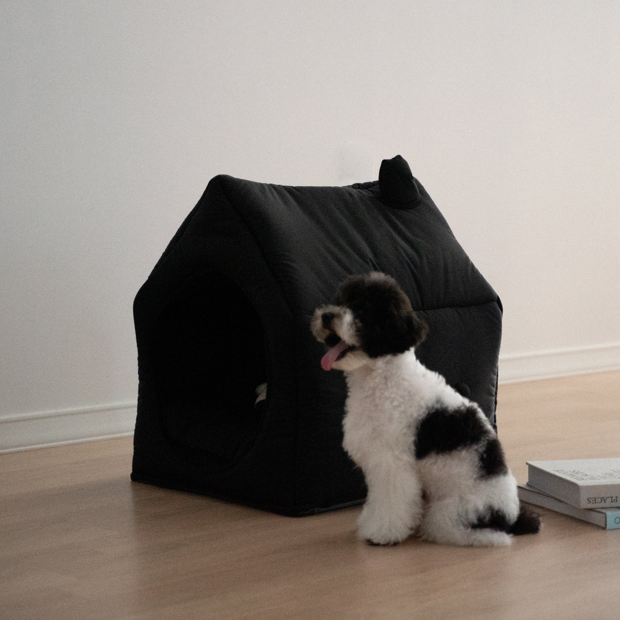Informal House (Black)