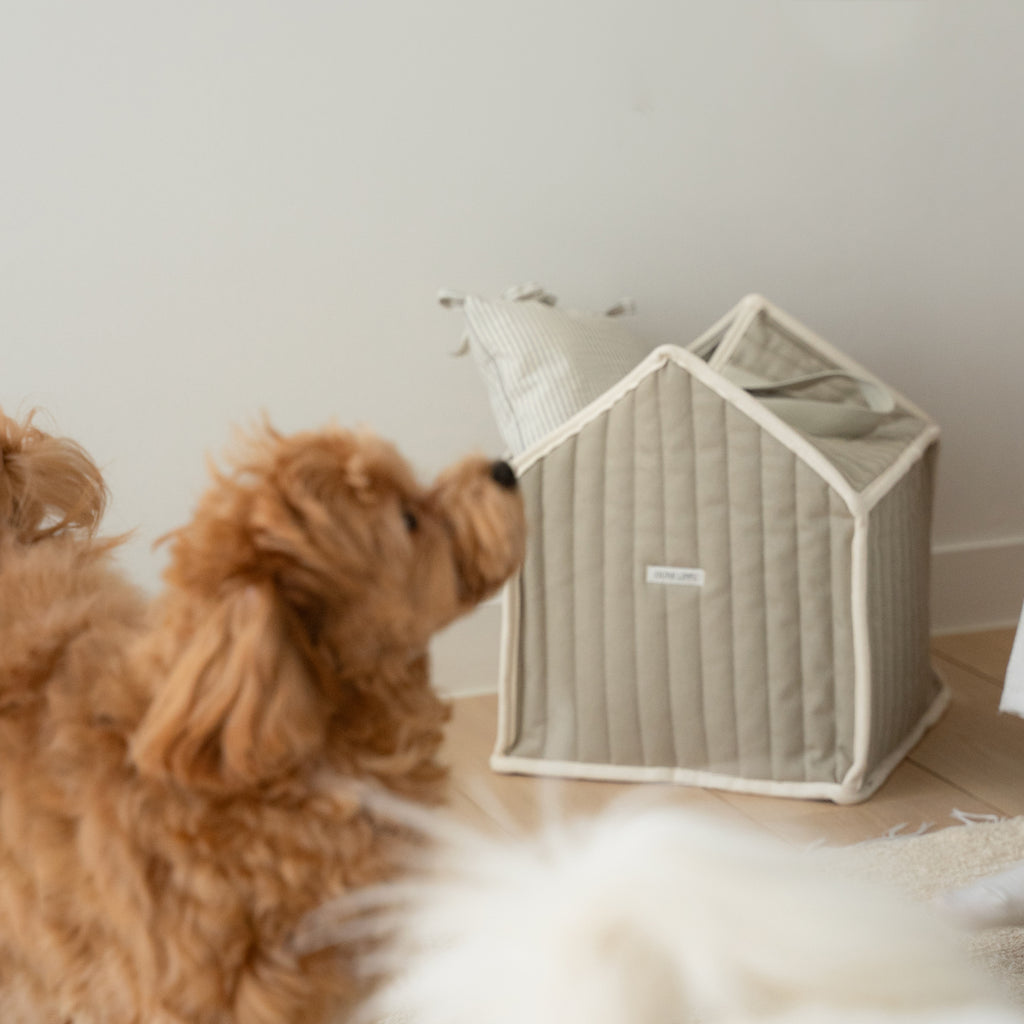 Toy House L