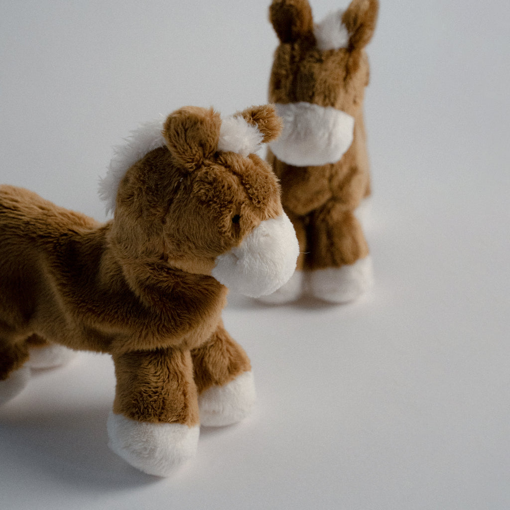 Buddy Pony