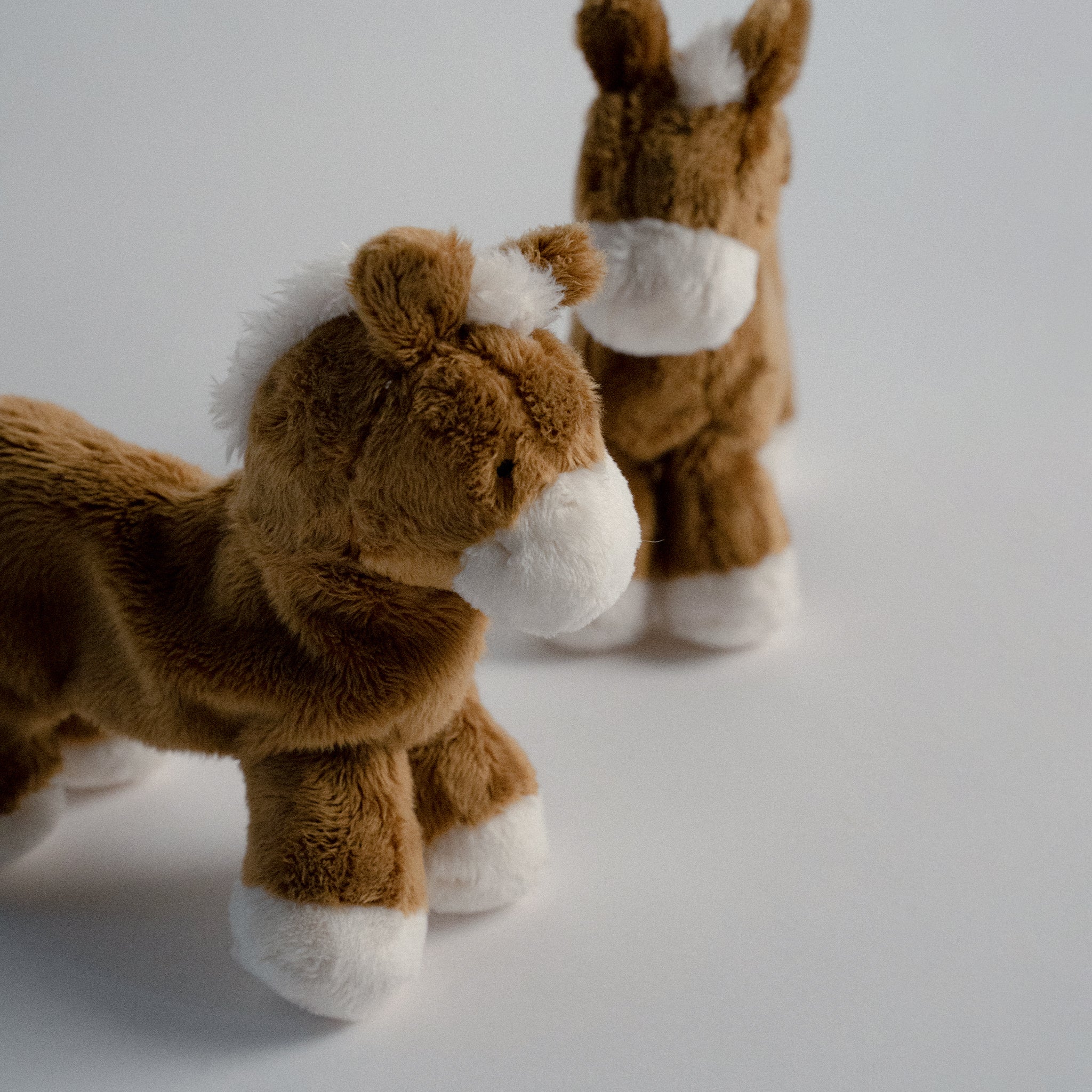 Buddy Pony