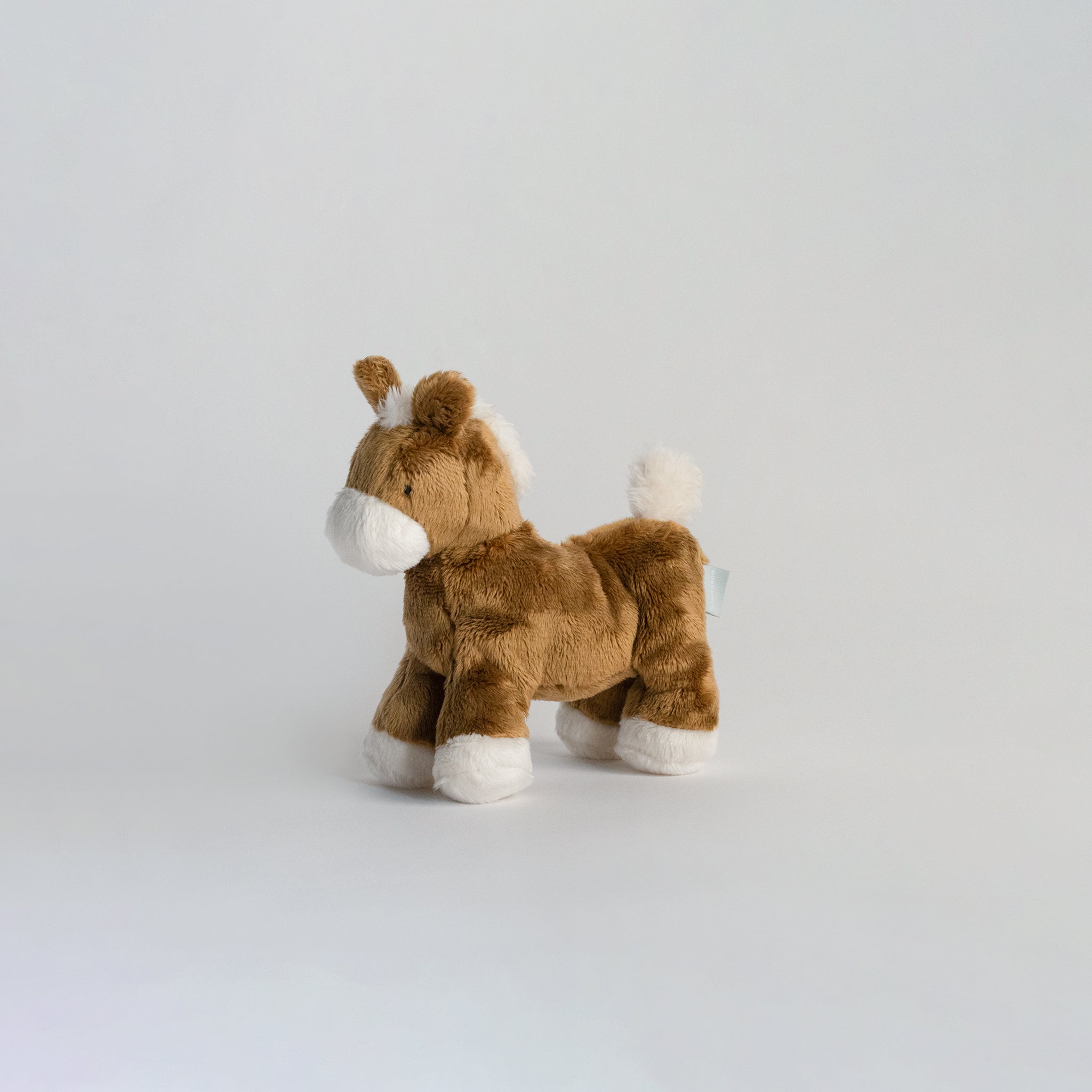 Buddy Pony